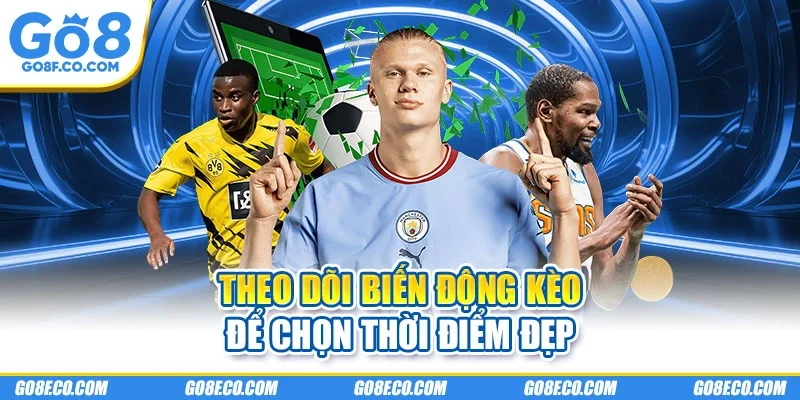 Theo dõi biến động kèo để chọn thời điểm đẹp