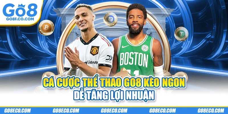Cá cược thể thao GO8 kèo ngon dễ tăng lợi nhuận