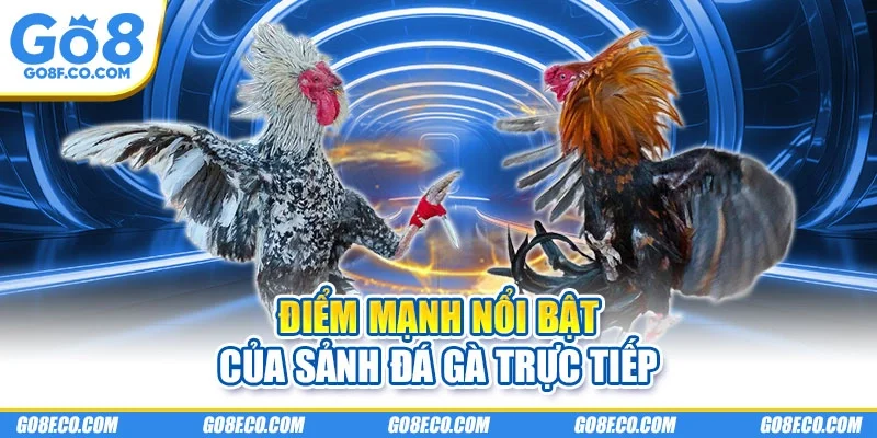 Điểm mạnh nổi bật của sảnh đá gà trực tiếp